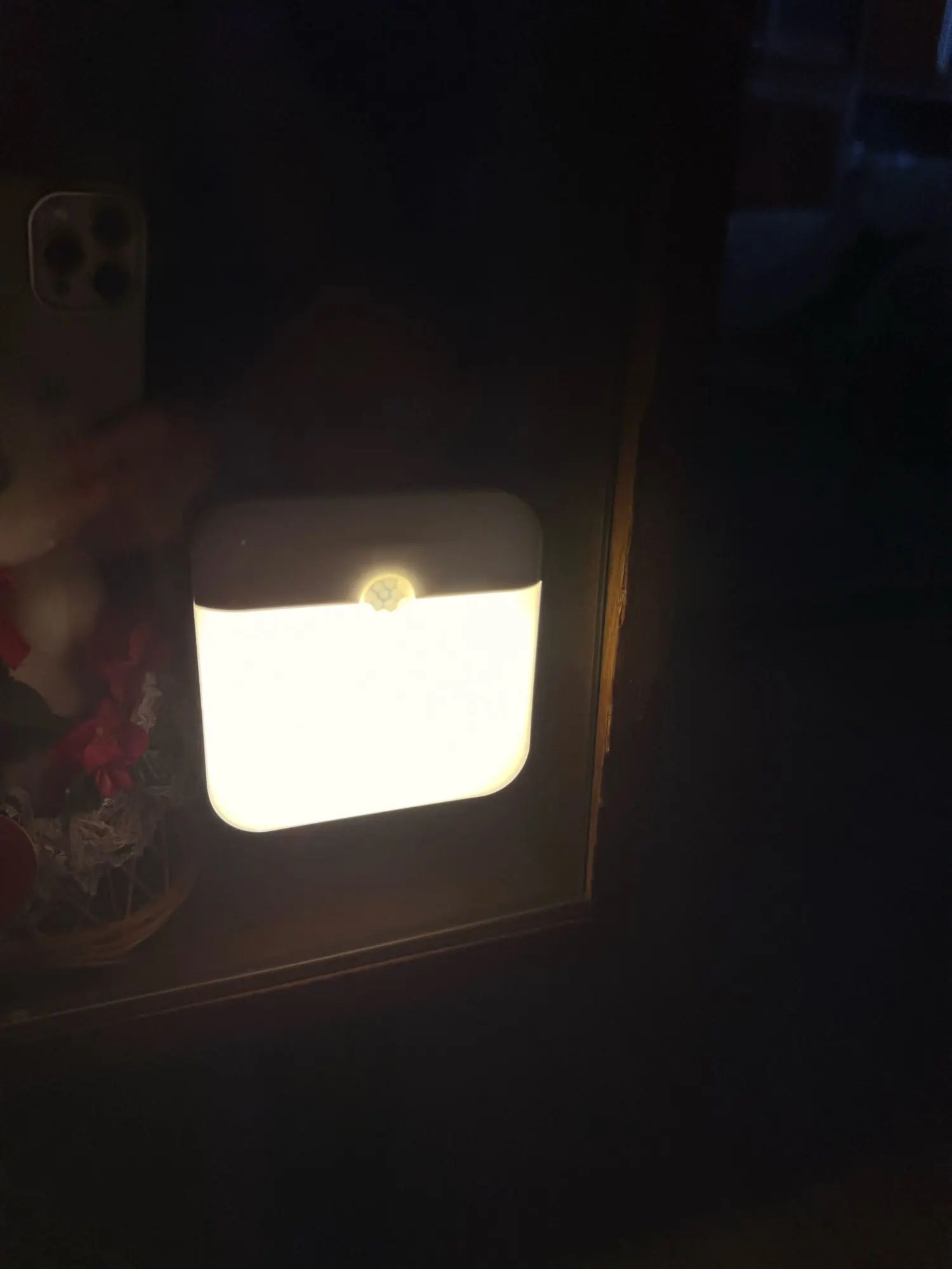 Review photo