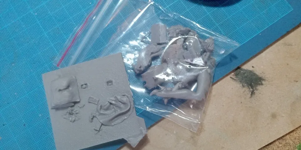 Buyer photo of this resin kit