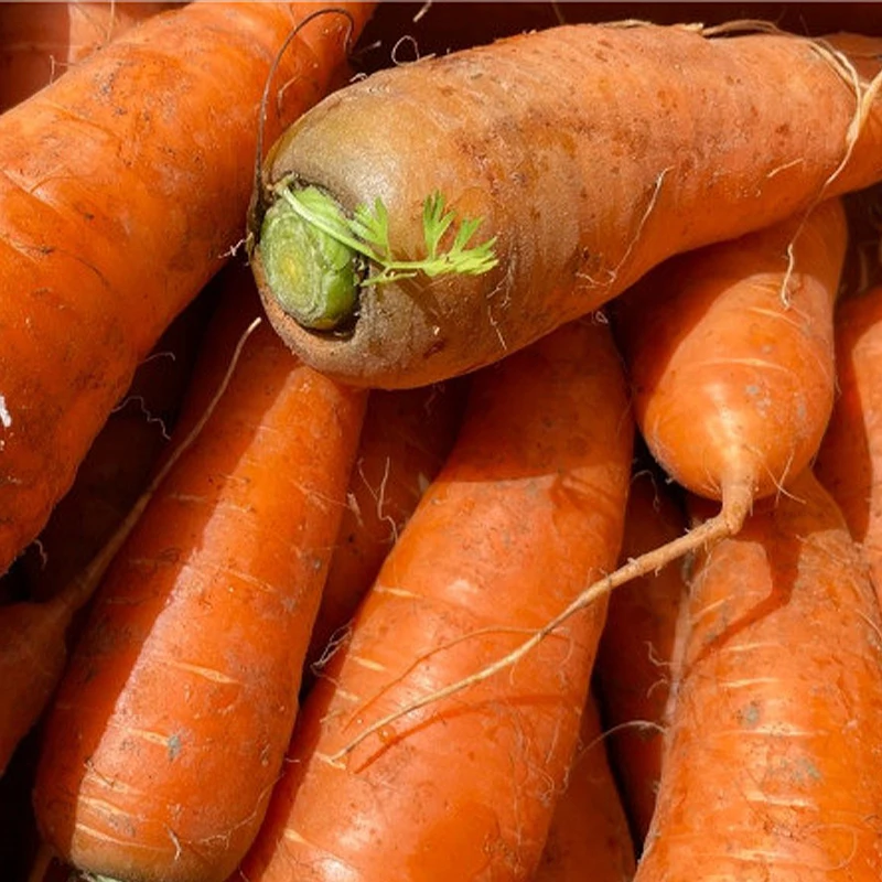 Carrot for home carrot juice 1kg 3kg 5kg The nail is harvested this year carrot