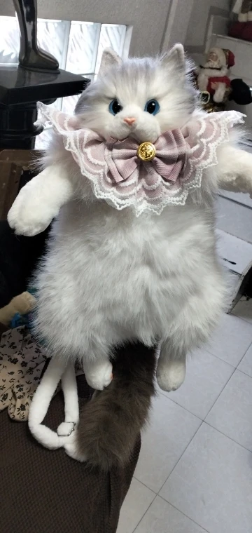 리뷰 사진
