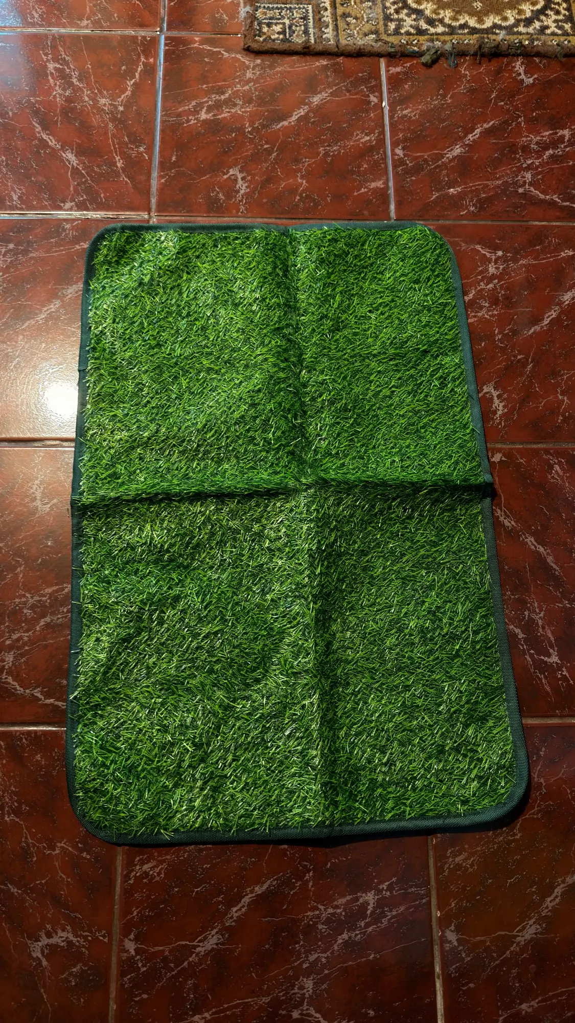 Customer review photo for Artificial Grass Dog Potty Pad