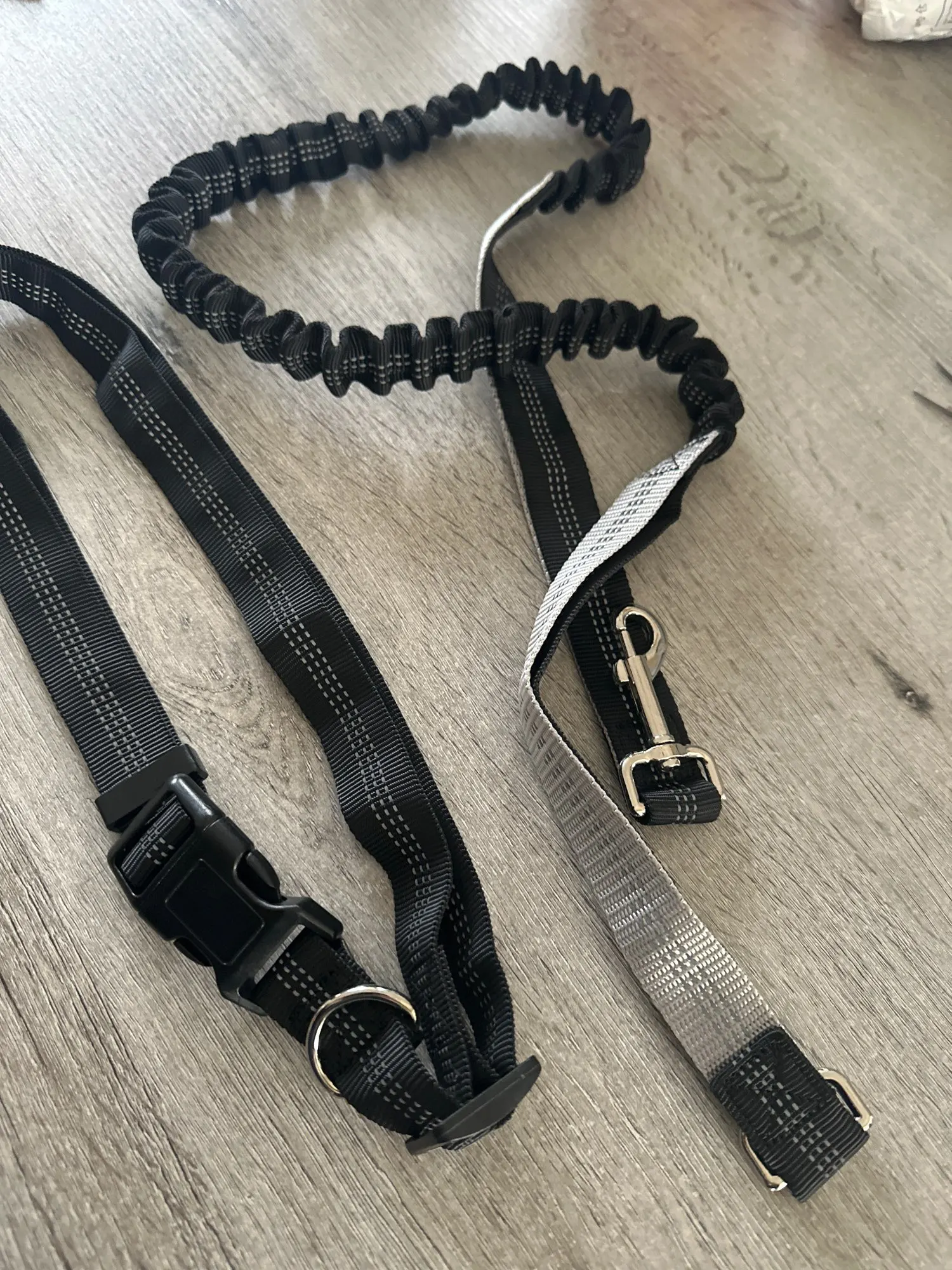 Customer review photo for Hands-Free Bungee Dog Leash with Adjustable Waist Belt