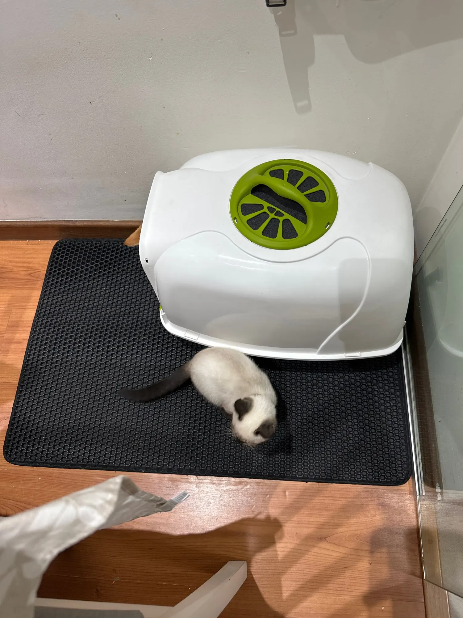 Customer review photo for Double-Layer Cat Litter Mat