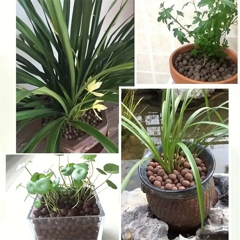 Soil Ceramsite Clay Stone Natural Rock Decorative Rocks for Planters Succulent Stones Cactus Indoor Plants Pebbles Small