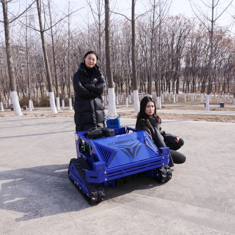 Customized Portable Small Crawler Remote - Control Lawn Mower with 550mm Cutting Width for Easy Operation