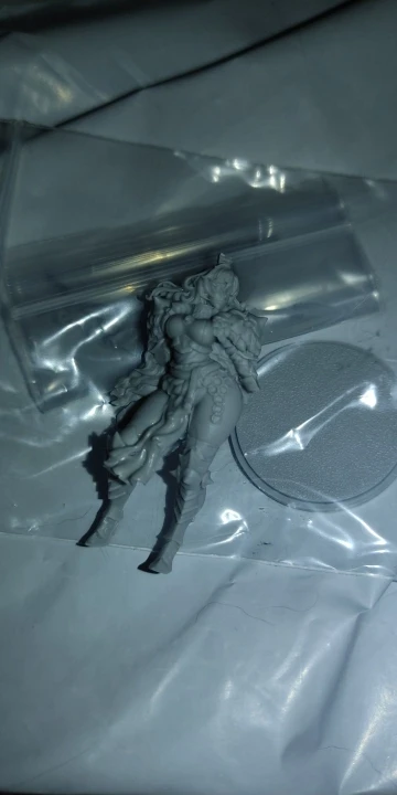 Buyer photo of this resin kit