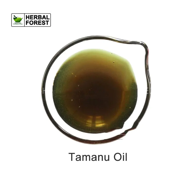 Natural Tamanu Oil Lightens Fine Lines Stretch Marks Moisturizes Removes Acne Marks Anti-Inflammatory Facial Body Massage Oil