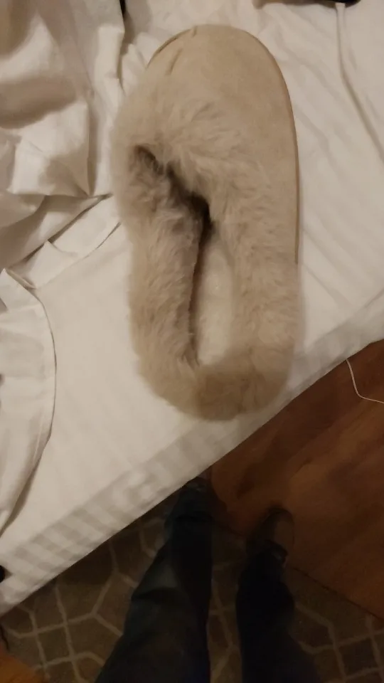 구매후기