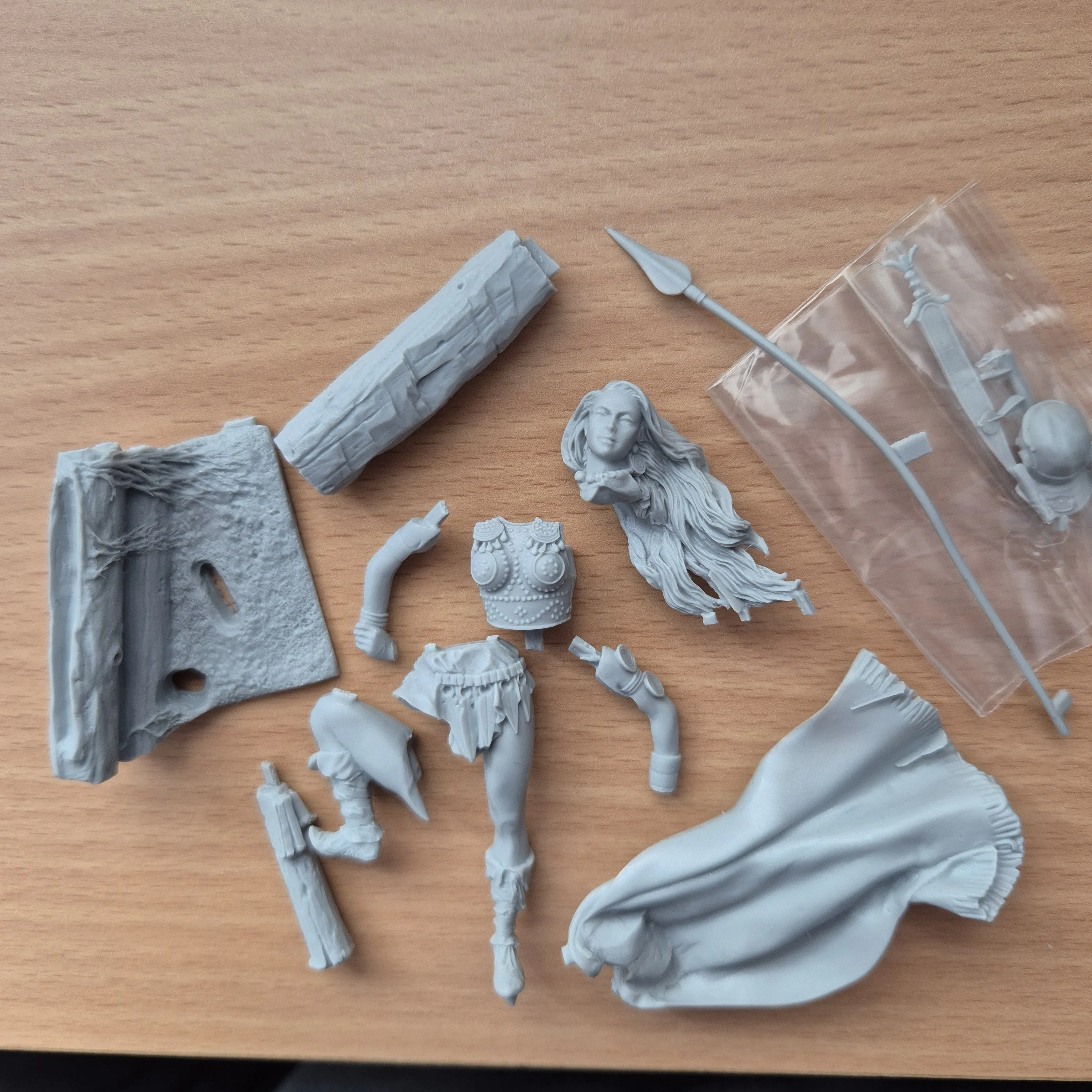 Buyer photo of this resin kit