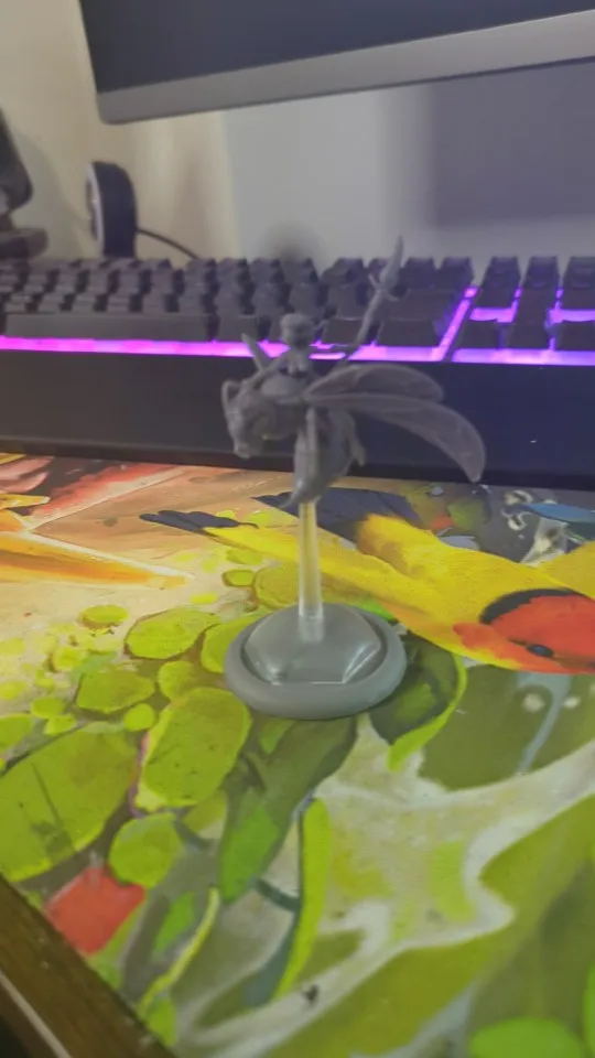 Buyer photo of this resin kit