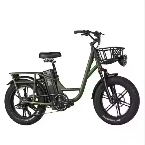 Top Notch Discount Price For FIIDO T1 Pro Cargo Electrics Bike With 20inch Fat Tires 750W Motor