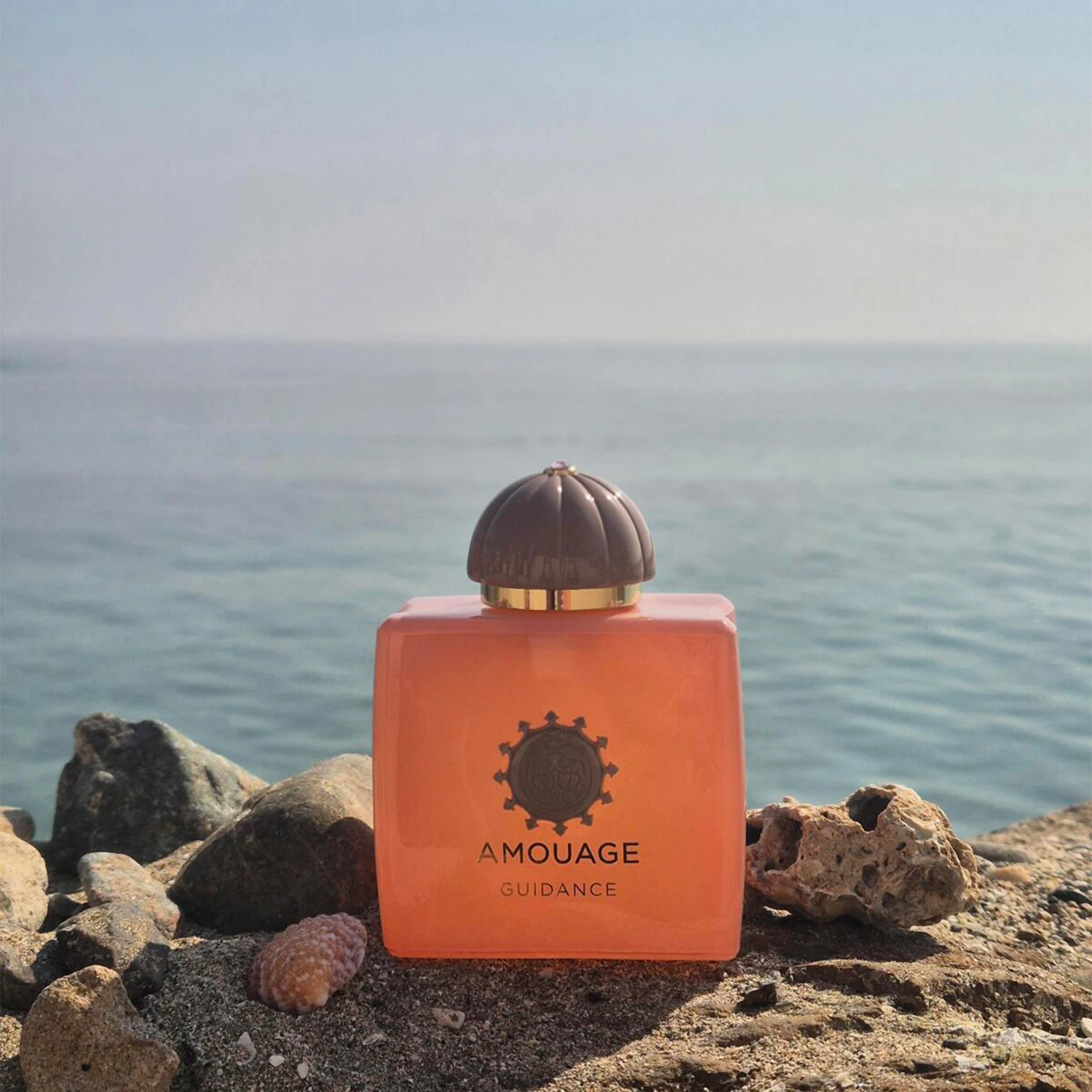 Amouage Guidance Ea…
