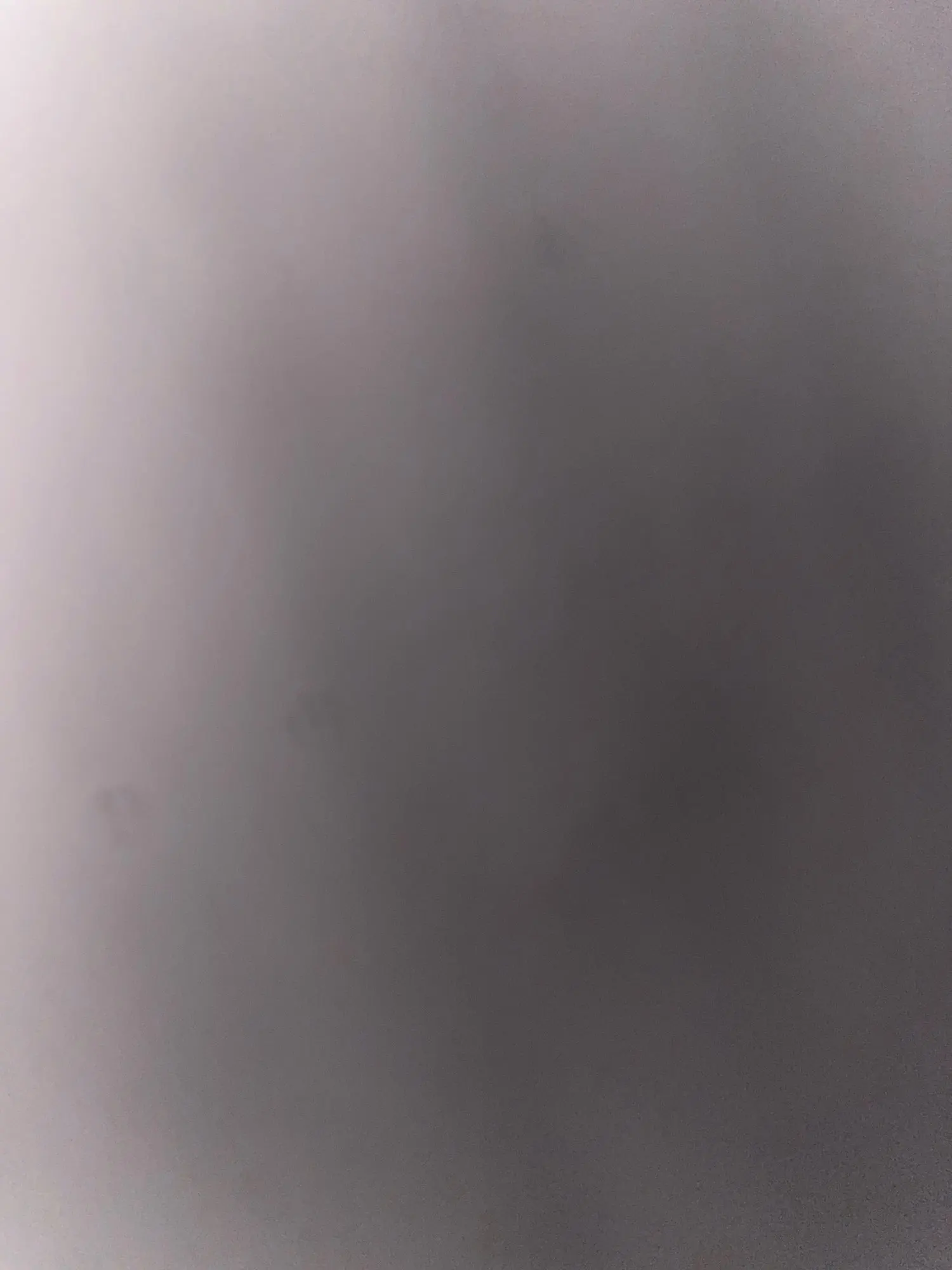 실물 포토 리뷰