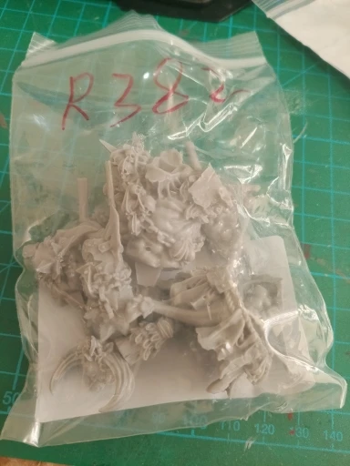 Buyer photo of this resin kit