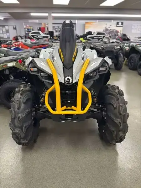 Новое поступление 2024 CanAm Renegade