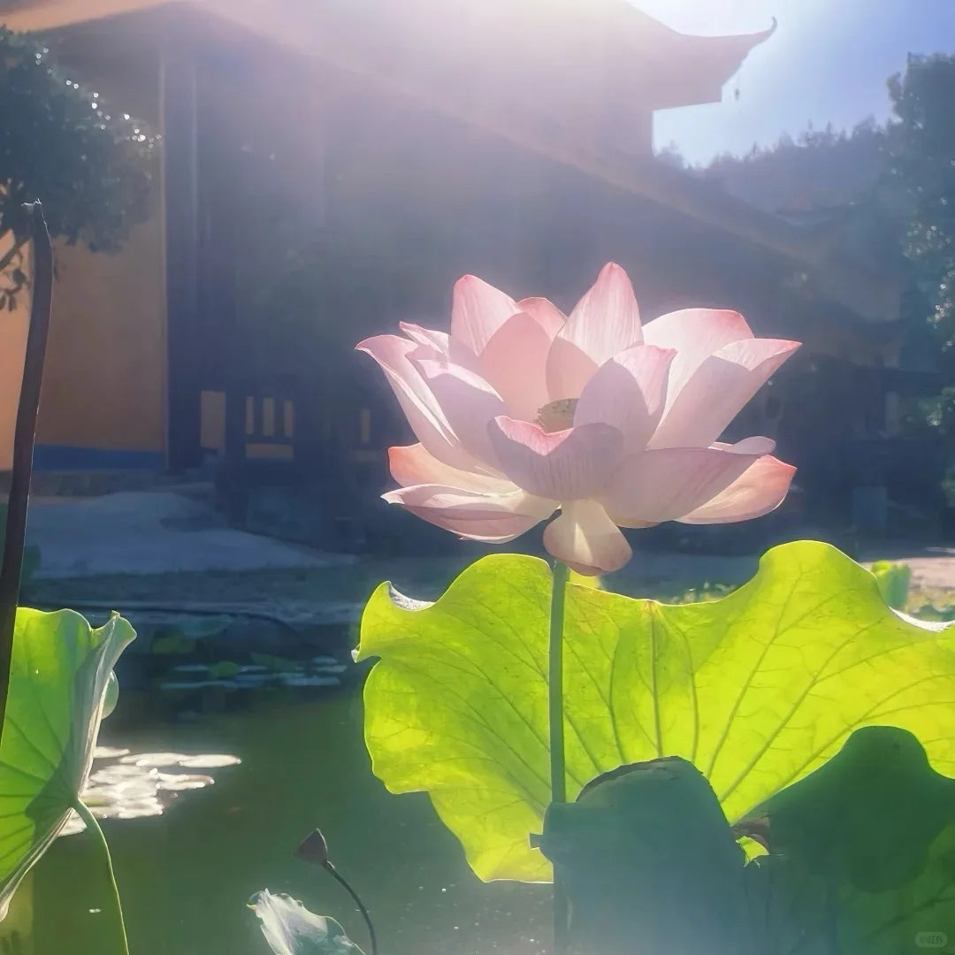 

New Product Eye Beauty Device BIO+RF Eye Lift Skin Tightening Dark Circles Remove Machine