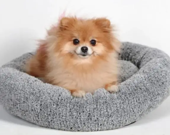 Cojín de felpa suave para gato, cama cómoda para perro, de alta calidad