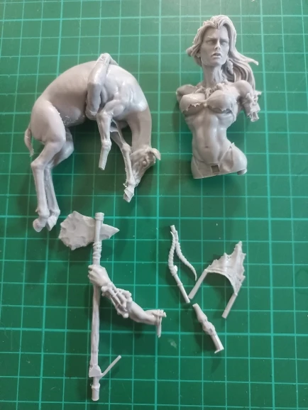 Buyer photo of this resin kit