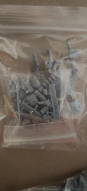 Buyer photo of this resin kit