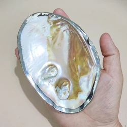 Gemstones Raw Mother of Pearl Wholesale Price Natural Freshwater Pearl Shell White Shell For DIY Jewelry Making Crafts