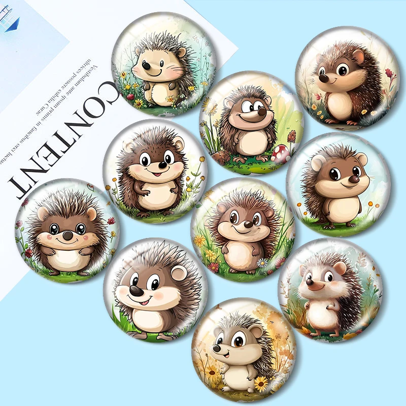 Adorable Hedgehog 10pcs 12mm/16mm/18mm/25mm Round Photo Glass Cabochon Demo Flat Back Making findings