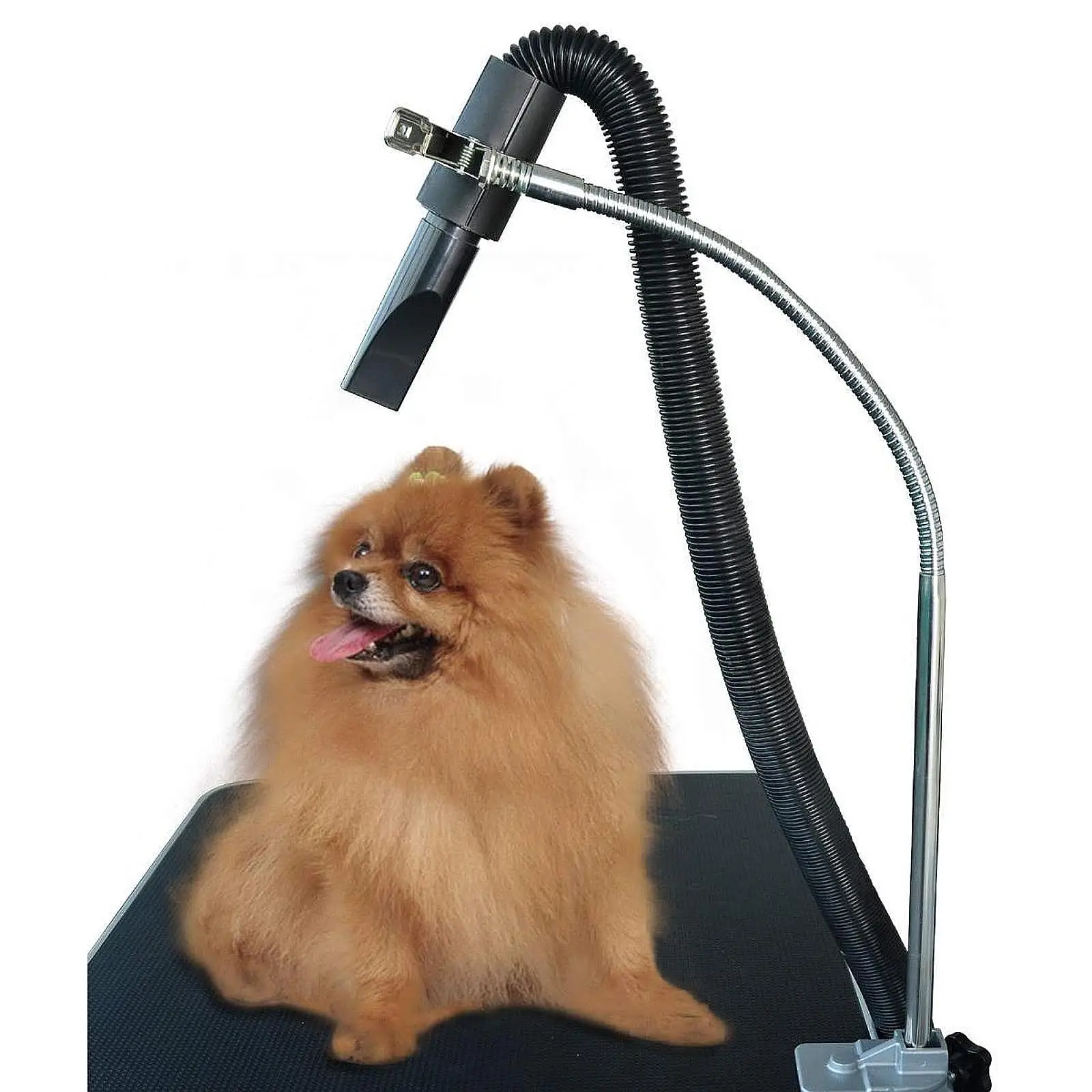 Dog Pet Grooming Table Hair Dryer Stand Dog Hair Dryer Stand Groomers Flexible Adjustable 360° Rotatable Rack Stainless Steel view 4