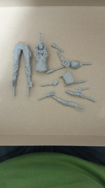 Buyer photo of this resin kit