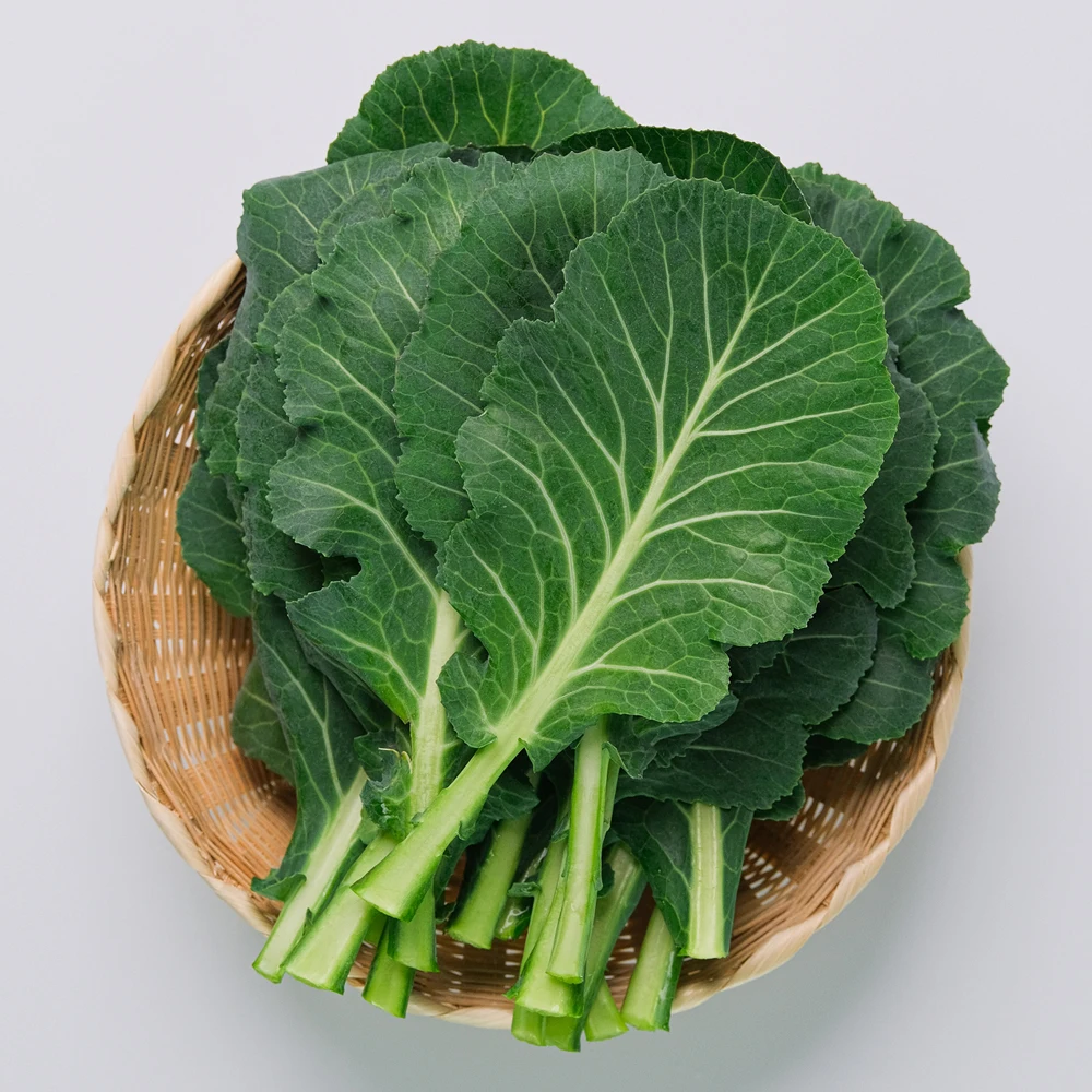 عصير صديقة للبيئة خالية من مبيدات الآفات ، عصير أخضر ، 1: 2