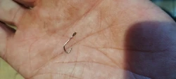 Imagen de reseña 3