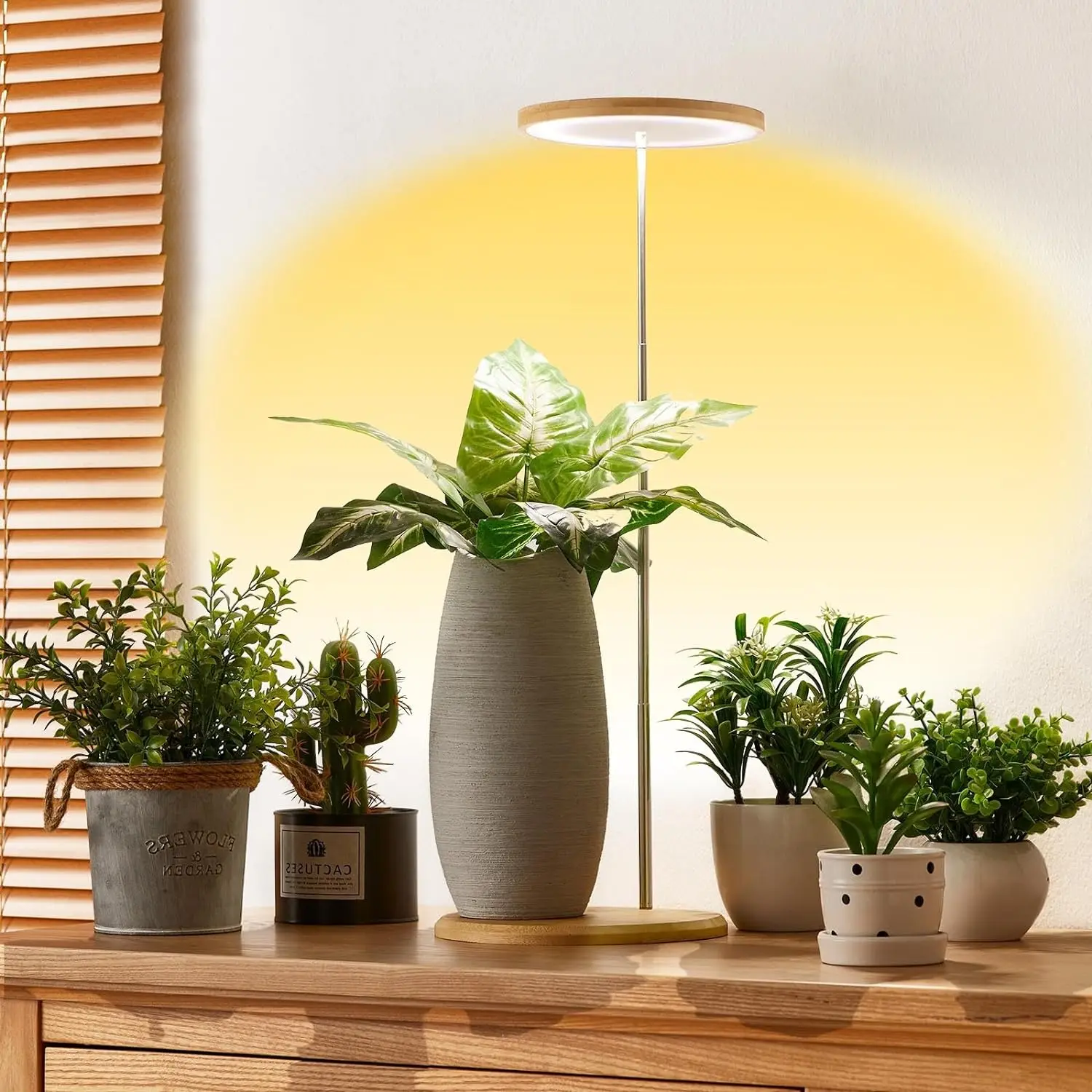 Plant Light,Plant Lights for Indoor Growing Small Grow Light,10 Dimmable Colours, Height Adjustable,with Base,Automatic Timer