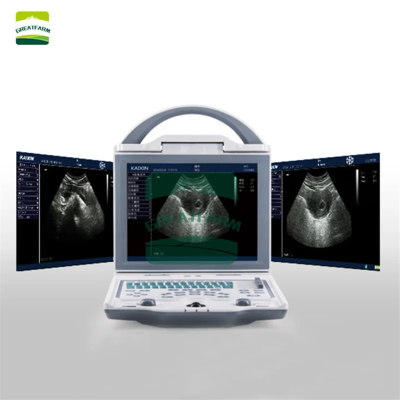 Dog Laptop Ultrasound Pet Sonar Scanner Canine Uterus Cat Pregnancy Testing Fetus LED Screen Laptop Disease Pet Hospital New