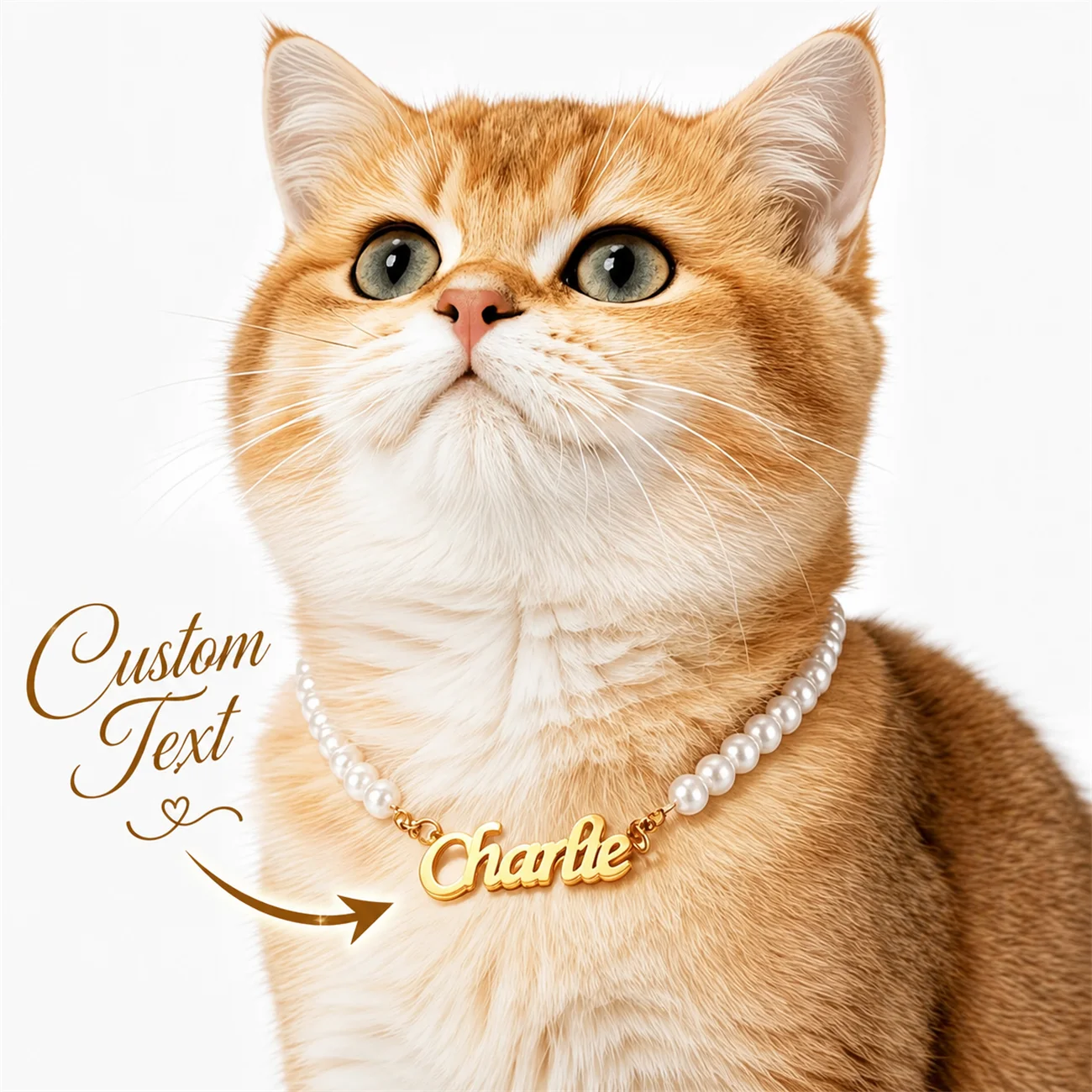 Collier personnalisé en acier inoxydable pour chat et chien, avec nom, chaîne de perles élégante, idéal pour le quotidien