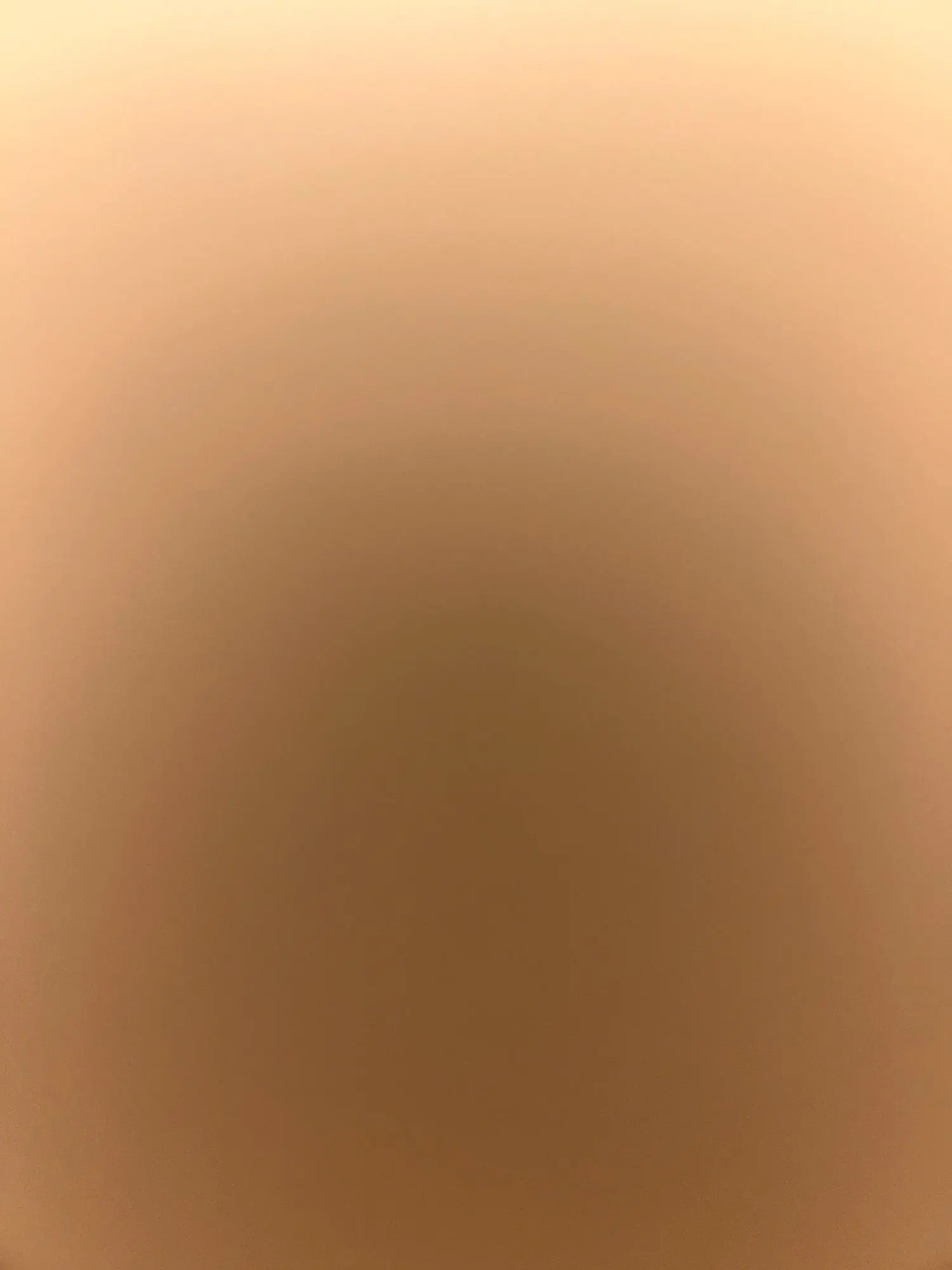실물 포토 리뷰