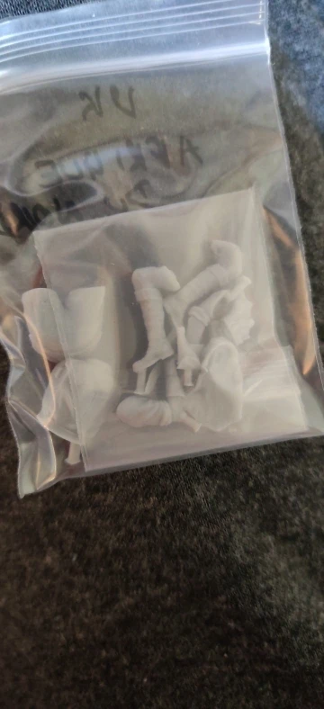 Buyer photo of this resin kit