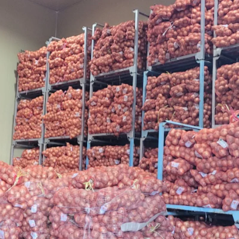 [푸디앤] 국내산 무안,신안,함평 햇 양파 정품 짱아치 1kg-10kg
