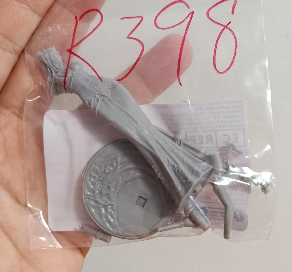 Buyer photo of this resin kit