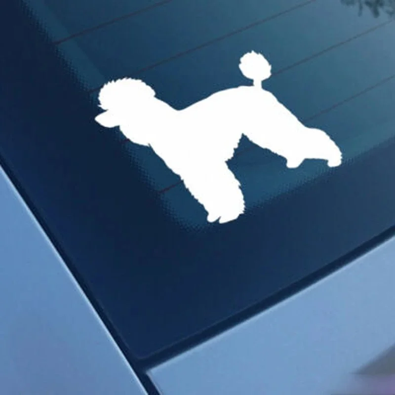 Pudel samochód naklejka naklejka zderzak okno Vinyl Funny Laptop nowość Van Dog naklejka wybierz rozmiar kolor — zdjęcie 2
