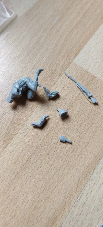 Buyer photo of this resin kit