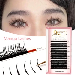 Quewel Wet Manga Eyelash Extensions Spikes Lashes Fully Natural Look 0.07mm C D Curl Cosplay Lash Premade Volume Lashes Clusters