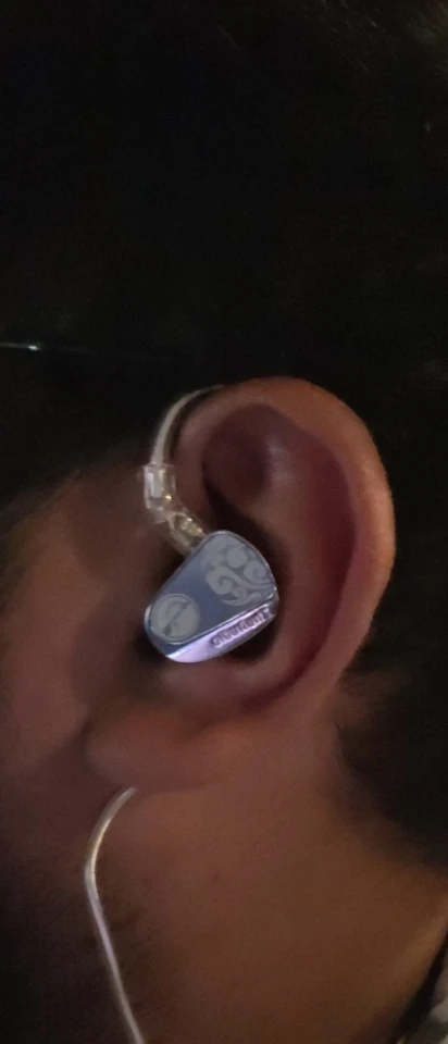 Auriculares Zhulinniao JingHong Z3 negros