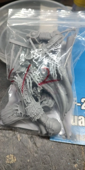 Buyer photo of this resin kit