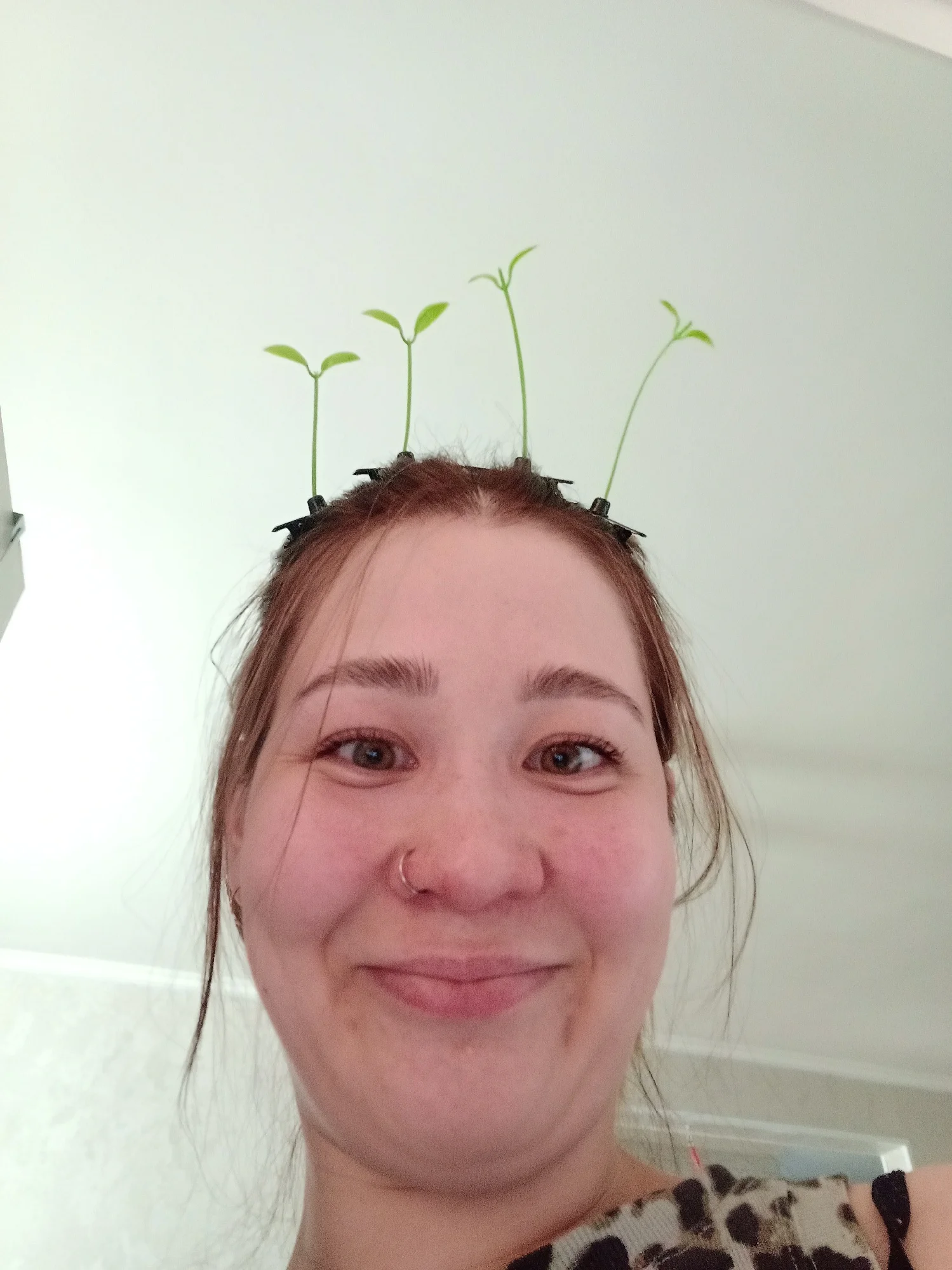 2025 New Simple Korean Green Sprout Grass Hair Clip Plant Bean Hair Cute Hairpin for Women Girls Hair Plant Accessories Gifts photo review