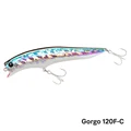 GORGO 120F-C
