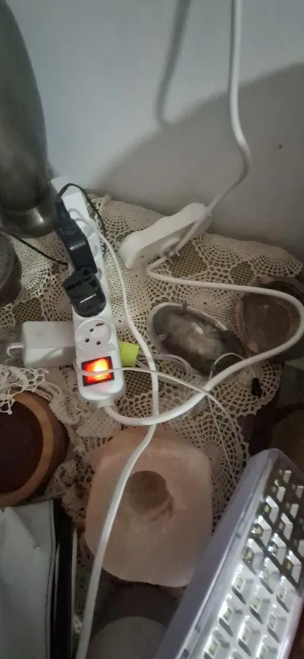구매후기