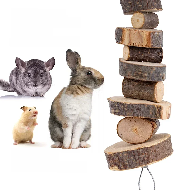 Jouet à mâcher pour Hamster et lapin, bâtons en bois naturel pour petits animaux de compagnie, Chinchilla, cochons d'inde, écureuils, jouet de meulage des dents, fournitures pour animaux de compagnie