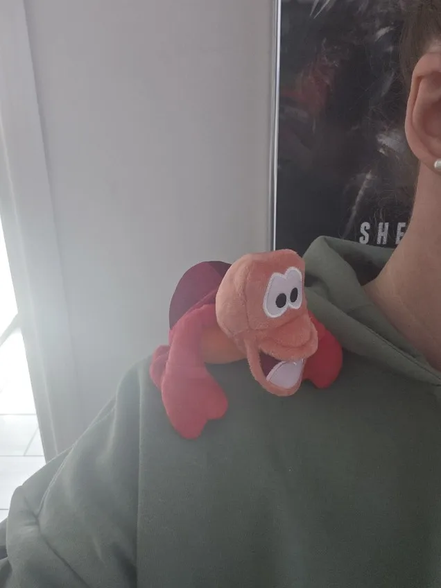 Customer review photo