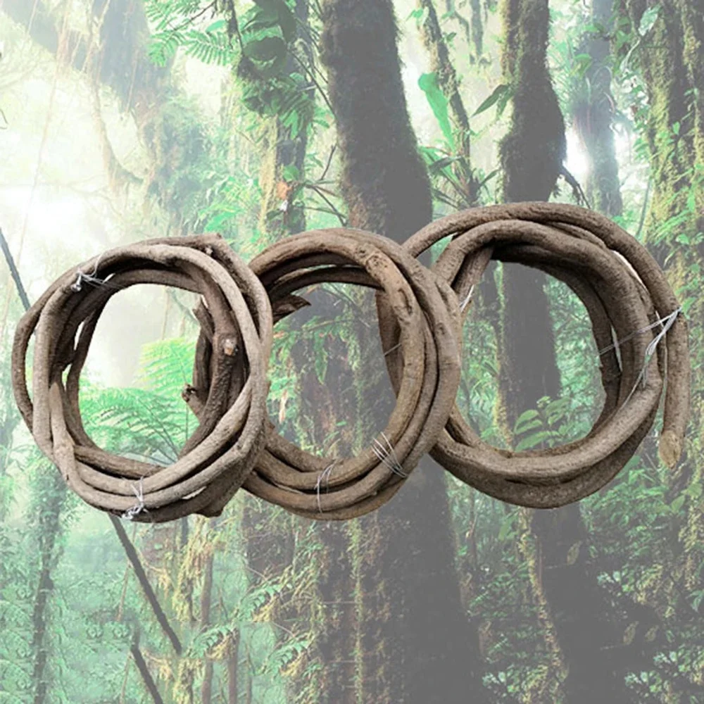 500 ~ 700CM prawdziwe rośliny drzewo winorośli żywe elastyczne Rattan prawdziwe gałęzie dotykowe Liana Wall hustawka ratanowa dekoracje ślubne w kształcie kwiatów — zdjęcie 2