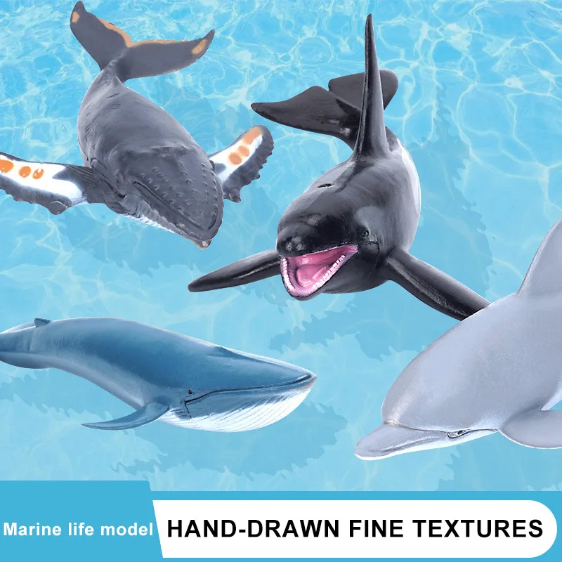 Simulation Marine Sea Life Whale Figurines Shark Cachalot Action Figures Ocean Animal Model Dolphin Hammerhead Educational Toys