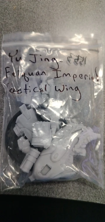 Buyer photo of this resin kit
