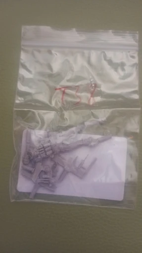 Buyer photo of this resin kit